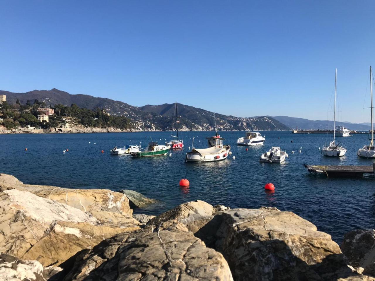 Residence "Delfino" Con Piscina E Campo Da Tennis Rapallo Eksteriør bilde